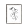 Picture of Daisy Drawing _GroupedProduct_Rectangle_Portrait_Framed_Matted_