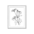 Picture of Daisy Drawing _GroupedProduct_Rectangle_Portrait_Framed_Matted_