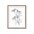 Picture of Daisy Drawing _GroupedProduct_Rectangle_Portrait_Framed_Matted_