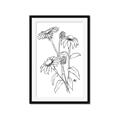 Picture of Daisy Drawing _GroupedProduct_Rectangle_Portrait_Framed_Matted_