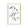 Picture of Daisy Drawing _GroupedProduct_Rectangle_Portrait_Framed_Matted_