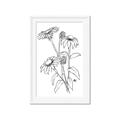 Picture of Daisy Drawing _GroupedProduct_Rectangle_Portrait_Framed_Matted_