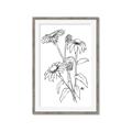 Picture of Daisy Drawing _GroupedProduct_Rectangle_Portrait_Framed_Matted_