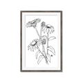 Picture of Daisy Drawing _GroupedProduct_Rectangle_Portrait_Framed_Matted_