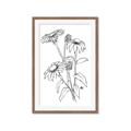 Picture of Daisy Drawing _GroupedProduct_Rectangle_Portrait_Framed_Matted_