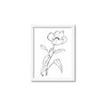 Picture of Poppy Drawing _GroupedProduct_Rectangle_Portrait_Framed_Matted_
