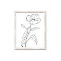 Picture of Poppy Drawing _GroupedProduct_Rectangle_Portrait_Framed_Matted_