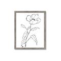Picture of Poppy Drawing _GroupedProduct_Rectangle_Portrait_Framed_Matted_