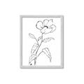Picture of Poppy Drawing _GroupedProduct_Rectangle_Portrait_Framed_Matted_
