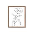 Picture of Poppy Drawing _GroupedProduct_Rectangle_Portrait_Framed_Matted_
