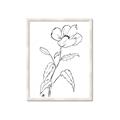 Picture of Poppy Drawing _GroupedProduct_Rectangle_Portrait_Framed_Matted_