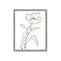 Picture of Poppy Drawing _GroupedProduct_Rectangle_Portrait_Framed_Matted_