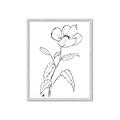 Picture of Poppy Drawing _GroupedProduct_Rectangle_Portrait_Framed_Matted_