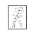 Picture of Poppy Drawing _GroupedProduct_Rectangle_Portrait_Framed_Matted_