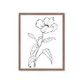 Picture of Poppy Drawing _GroupedProduct_Rectangle_Portrait_Framed_Matted_