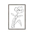 Picture of Poppy Drawing _GroupedProduct_Rectangle_Portrait_Framed_Matted_