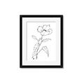 Picture of Poppy Drawing _GroupedProduct_Rectangle_Portrait_Framed_Matted_