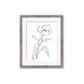 Picture of Poppy Drawing _GroupedProduct_Rectangle_Portrait_Framed_Matted_