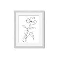 Picture of Poppy Drawing _GroupedProduct_Rectangle_Portrait_Framed_Matted_