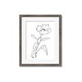 Picture of Poppy Drawing _GroupedProduct_Rectangle_Portrait_Framed_Matted_