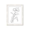 Picture of Poppy Drawing _GroupedProduct_Rectangle_Portrait_Framed_Matted_