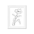 Picture of Poppy Drawing _GroupedProduct_Rectangle_Portrait_Framed_Matted_