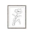 Picture of Poppy Drawing _GroupedProduct_Rectangle_Portrait_Framed_Matted_