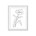 Picture of Poppy Drawing _GroupedProduct_Rectangle_Portrait_Framed_Matted_
