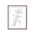 Picture of Poppy Drawing _GroupedProduct_Rectangle_Portrait_Framed_Matted_