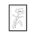 Picture of Poppy Drawing _GroupedProduct_Rectangle_Portrait_Framed_Matted_