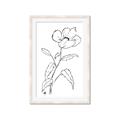 Picture of Poppy Drawing _GroupedProduct_Rectangle_Portrait_Framed_Matted_