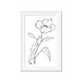 Picture of Poppy Drawing _GroupedProduct_Rectangle_Portrait_Framed_Matted_