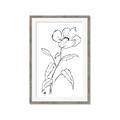 Picture of Poppy Drawing _GroupedProduct_Rectangle_Portrait_Framed_Matted_