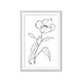 Picture of Poppy Drawing _GroupedProduct_Rectangle_Portrait_Framed_Matted_