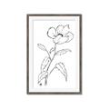 Picture of Poppy Drawing _GroupedProduct_Rectangle_Portrait_Framed_Matted_