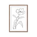 Picture of Poppy Drawing _GroupedProduct_Rectangle_Portrait_Framed_Matted_