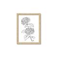 Picture of French Hydrangea Drawing _GroupedProduct_Rectangle_Portrait_Framed_Matted_