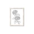 Picture of French Hydrangea Drawing _GroupedProduct_Rectangle_Portrait_Framed_Matted_
