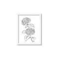 Picture of French Hydrangea Drawing _GroupedProduct_Rectangle_Portrait_Framed_Matted_