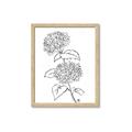 Picture of French Hydrangea Drawing _GroupedProduct_Rectangle_Portrait_Framed_Matted_