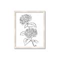 Picture of French Hydrangea Drawing _GroupedProduct_Rectangle_Portrait_Framed_Matted_