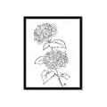 Picture of French Hydrangea Drawing _GroupedProduct_Rectangle_Portrait_Framed_Matted_