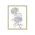 Picture of French Hydrangea Drawing _GroupedProduct_Rectangle_Portrait_Framed_Matted_