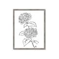 Picture of French Hydrangea Drawing _GroupedProduct_Rectangle_Portrait_Framed_Matted_