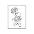 Picture of French Hydrangea Drawing _GroupedProduct_Rectangle_Portrait_Framed_Matted_