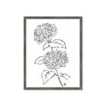 Picture of French Hydrangea Drawing _GroupedProduct_Rectangle_Portrait_Framed_Matted_