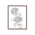 Picture of French Hydrangea Drawing _GroupedProduct_Rectangle_Portrait_Framed_Matted_