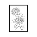 Picture of French Hydrangea Drawing _GroupedProduct_Rectangle_Portrait_Framed_Matted_