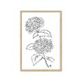Picture of French Hydrangea Drawing _GroupedProduct_Rectangle_Portrait_Framed_Matted_
