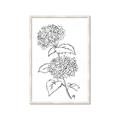 Picture of French Hydrangea Drawing _GroupedProduct_Rectangle_Portrait_Framed_Matted_
